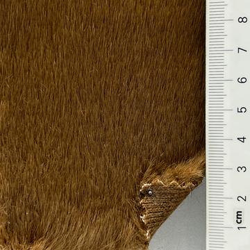 6 Camel