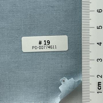19 Pale Blue
