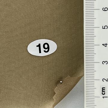 19 Camel