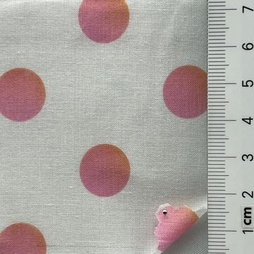 Cotton Plain Weave