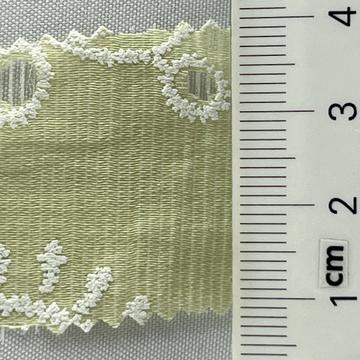 5 Pale Green