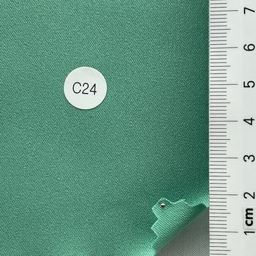 C24 Pale Green