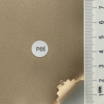 P66 Beige