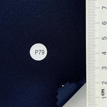 P79 Navy