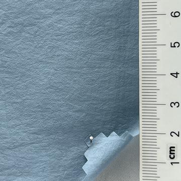 21 Pale Blue
