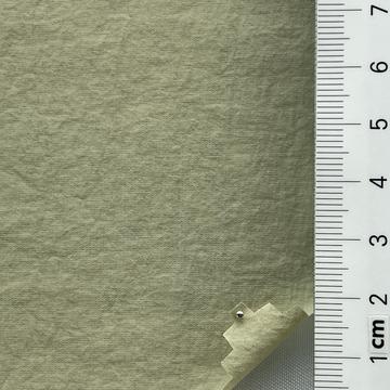 18 Pale Green