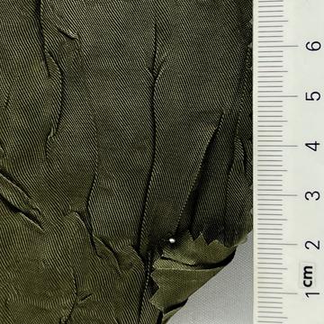 6 Deep Green
