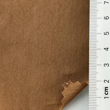 6 Camel