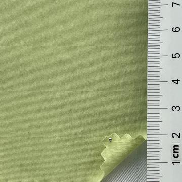 10 Pale Green