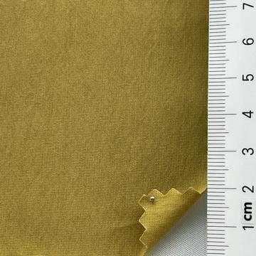 13 Camel