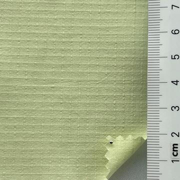 19 Pale Green