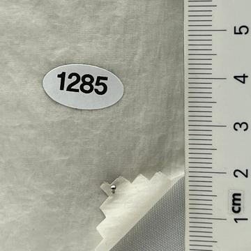 1285 Ivory