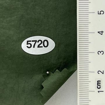 5720 Green
