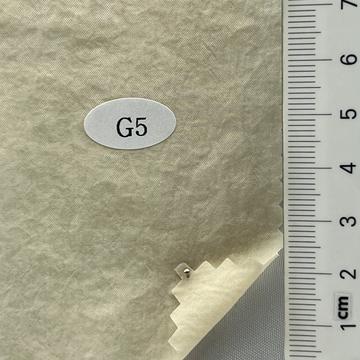 G5 Beige
