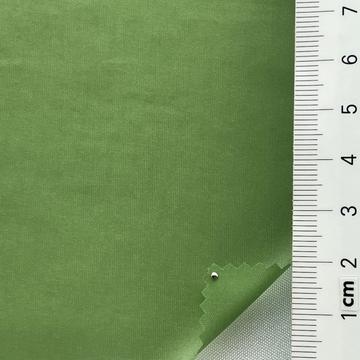 24 Green