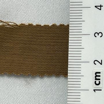 20 Camel