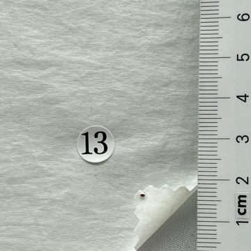 13 White