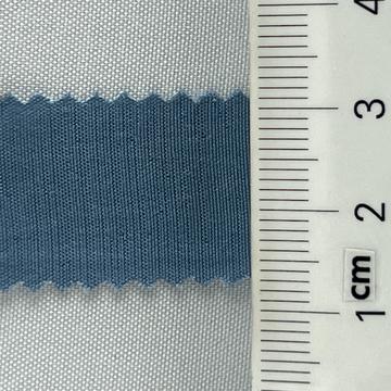 21 Pale Blue