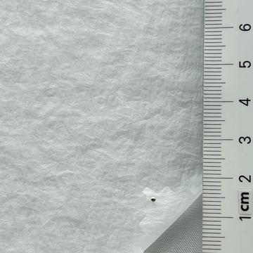 13 White