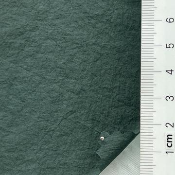 41 Deep Green