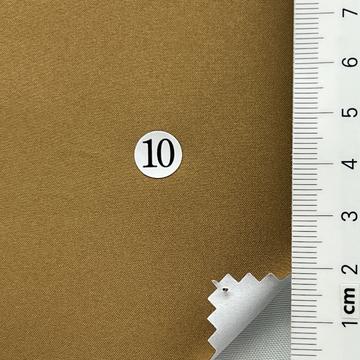 10 Camel