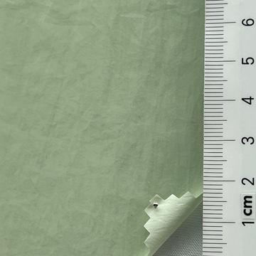 14 Pale Green