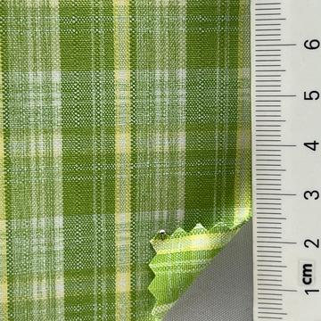 5 Pale Green