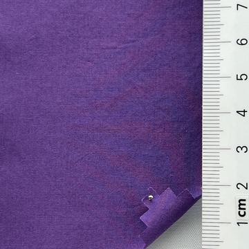 20 Purple
