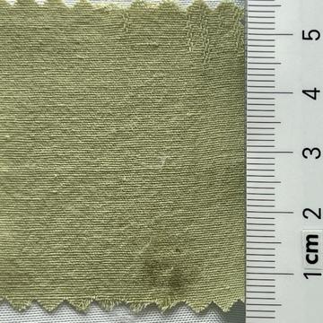 19 Pale Green