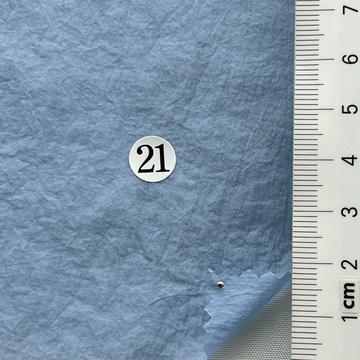 21 Pale Blue