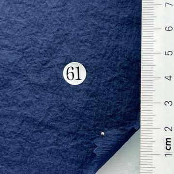 61 Navy