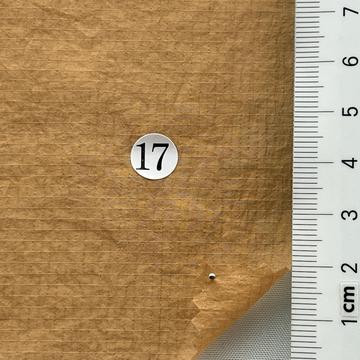 17 Camel
