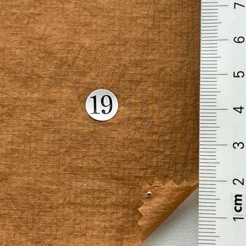 19 Camel