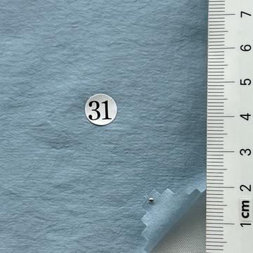 31 Pale Blue