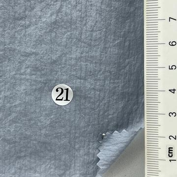 21 Pale Blue