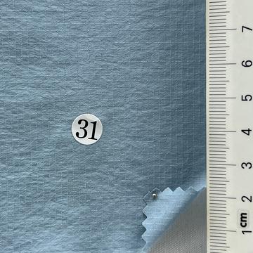 31 Pale Blue