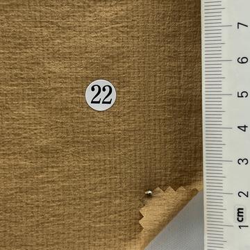 22 Camel