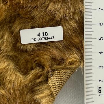 10 Camel