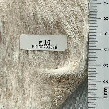 10 Ivory