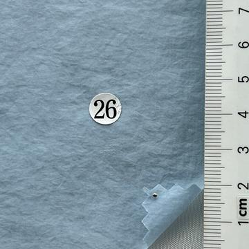 26 Pale Blue