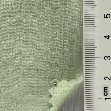 5 Pale Green