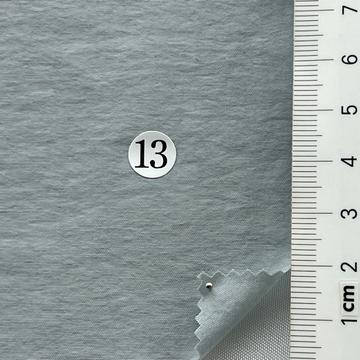 13 Pale Blue