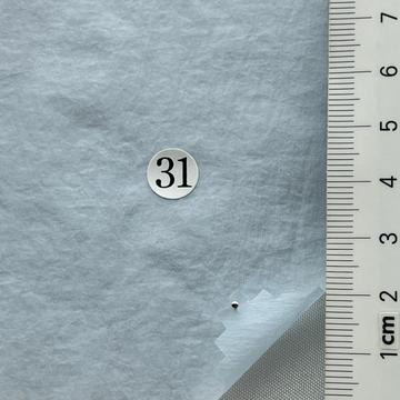 31 Pale Blue