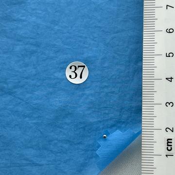 37 Pale Blue