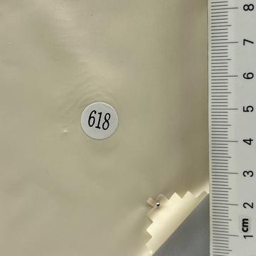 618 Ivory