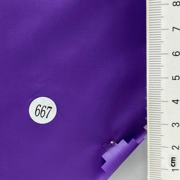 667 Purple