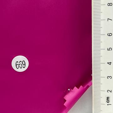 669 Magenta