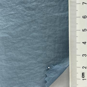 13 Pale Blue