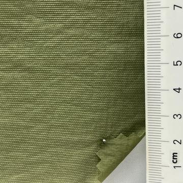 24 Green