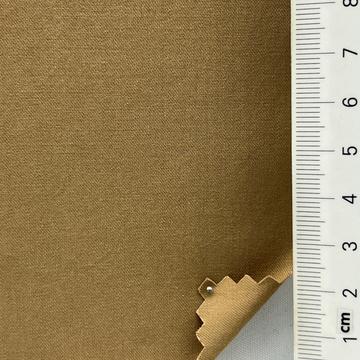 20 Camel